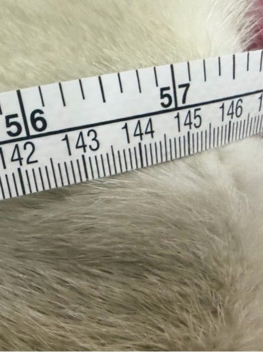 Lux mink Fur Shawl Wrap in Light Beige - Women Accessories - Picture 8 of 13